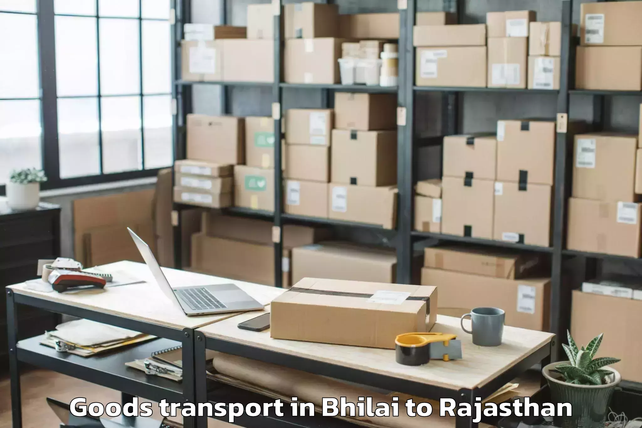 Bhilai to World Trade Park Jaipur Goods Transport Booking